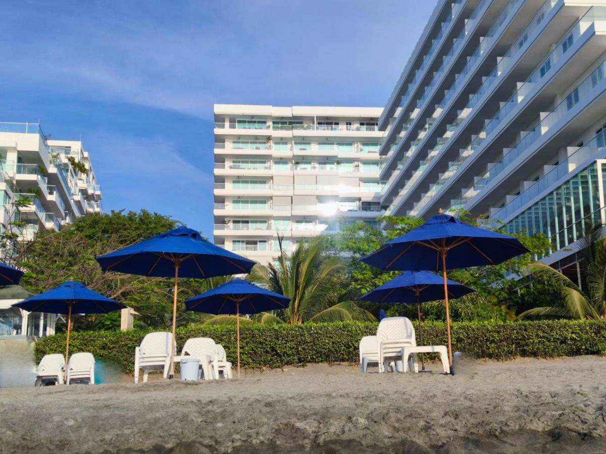 Playa Dormida 2. Hermoso Frente Al Mar Apartamento